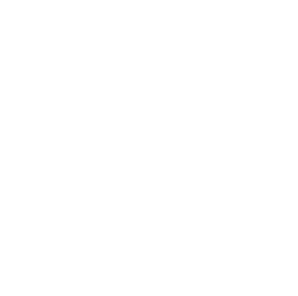 Festival del Lago