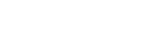 Langua Translation