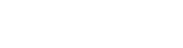 The king Training