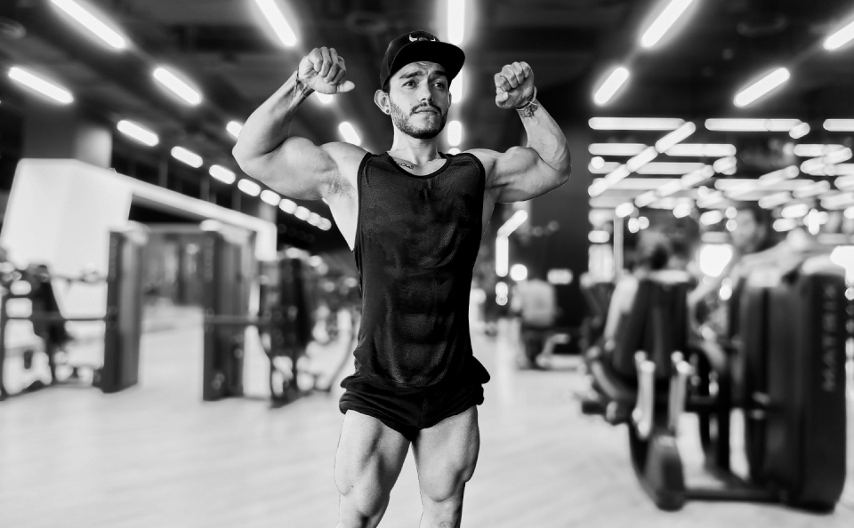 The king Training