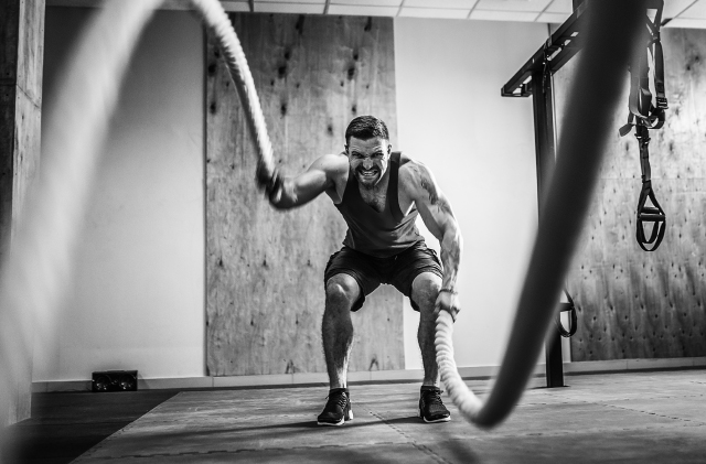 The king Training