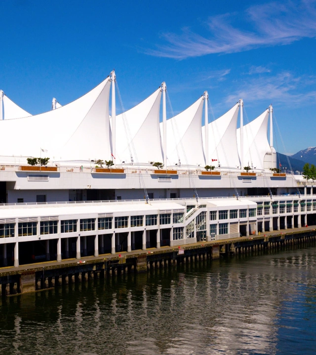 Diseño Taiyo Europe Selfish