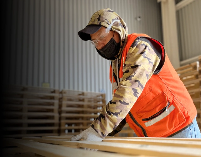 Páginas Corporativas SESJ Selfish