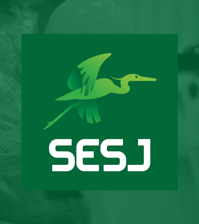 Páginas Corporativas SESJ Selfish